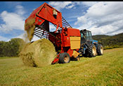 Original Equipment Manufacturer (OEM)